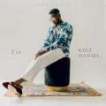 Lie coverart