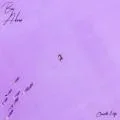 soso coverart